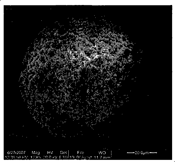 Method for preparing nucleocapsid type microgel composite microsphere using polymerisable surfactant