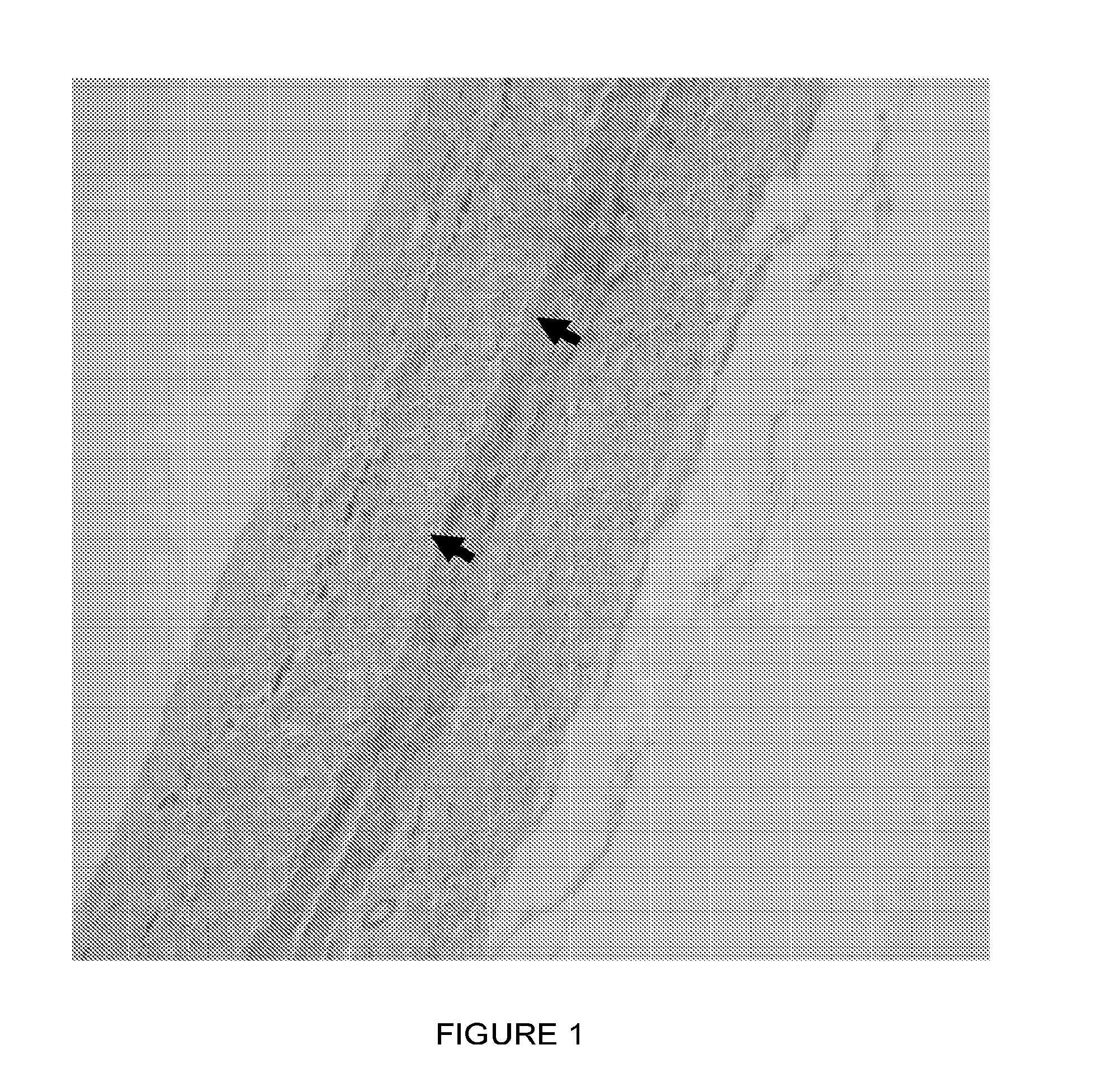 Biomaterials with enhanced properties and devices made therefrom