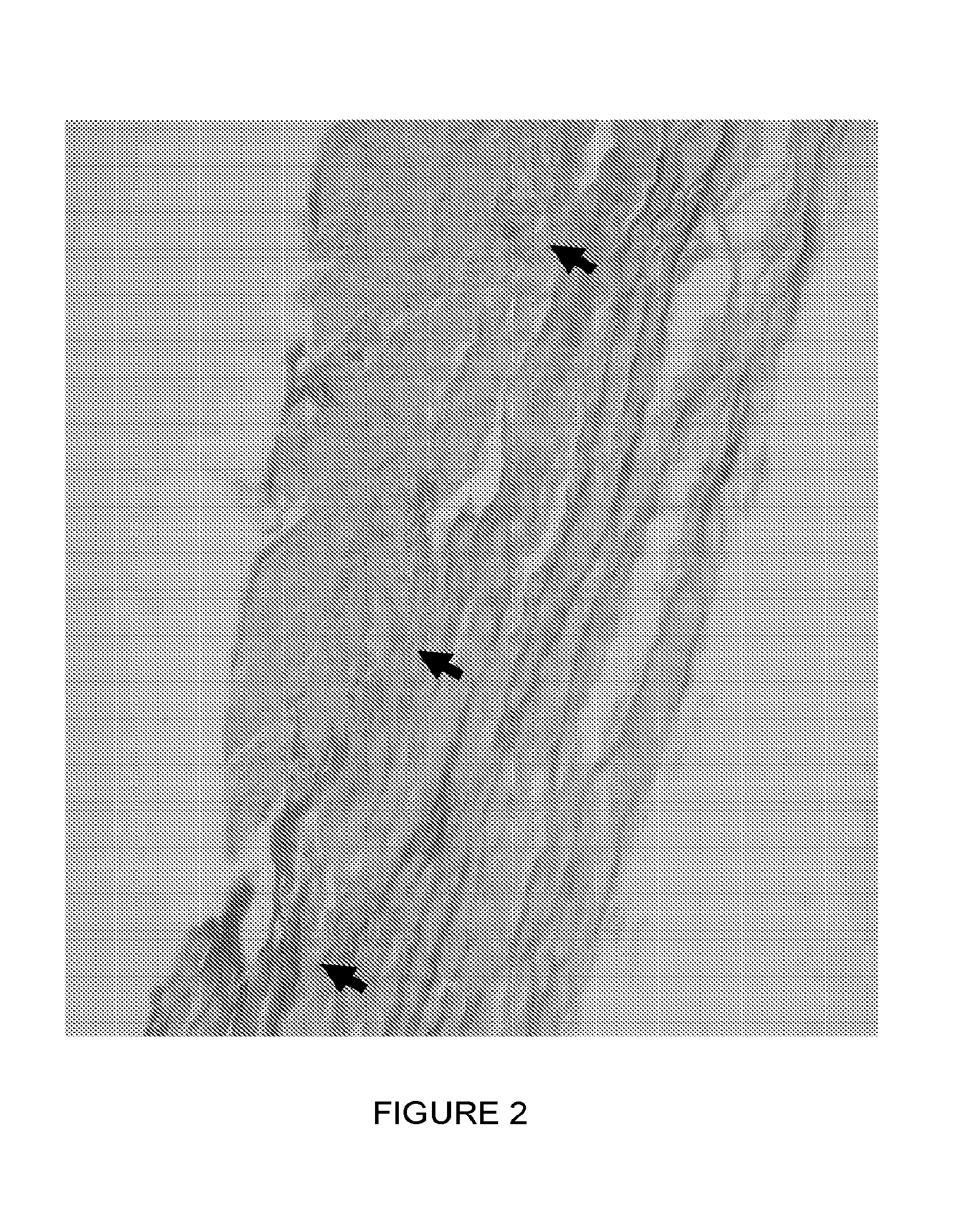 Biomaterials with enhanced properties and devices made therefrom