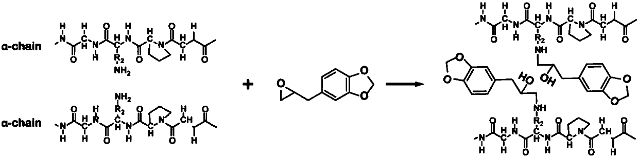 Antibacterial collagen preparation method based on epoxidation modification of safrole