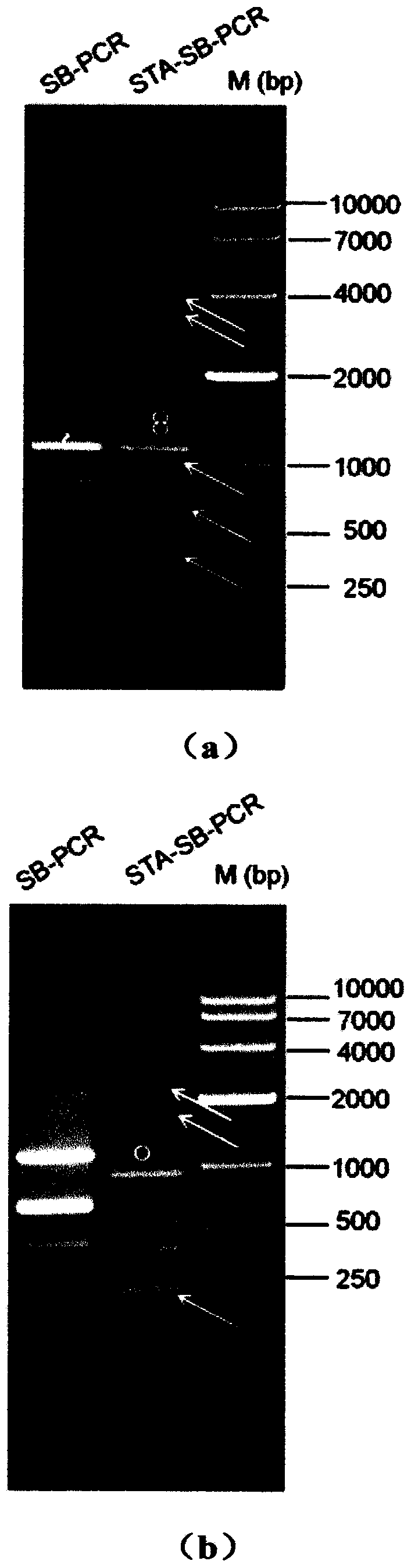 Method for inserting site in clone provirus