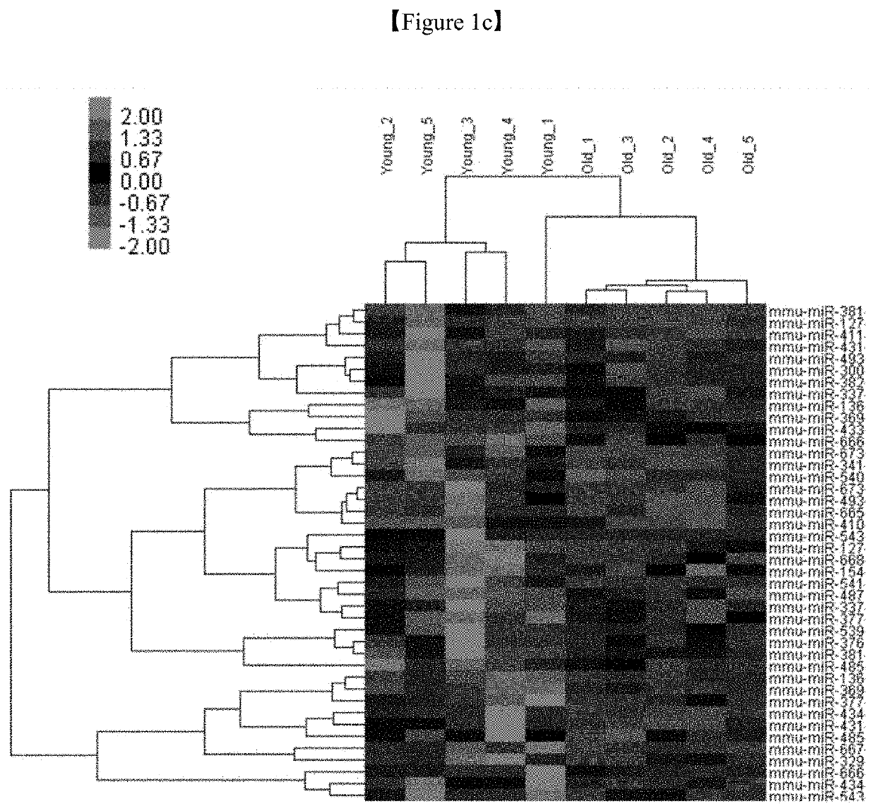 PHARMACEUTICAL COMPOSITION FOR PREVENTING OR TREATING MUSCULAR DISEASE OR CACHEXIA COMPRISING, AS ACTIVE INGREDIENT, miRNA LOCATED IN DLK1-DIO3 CLUSTER OR VARIANT THEREOF