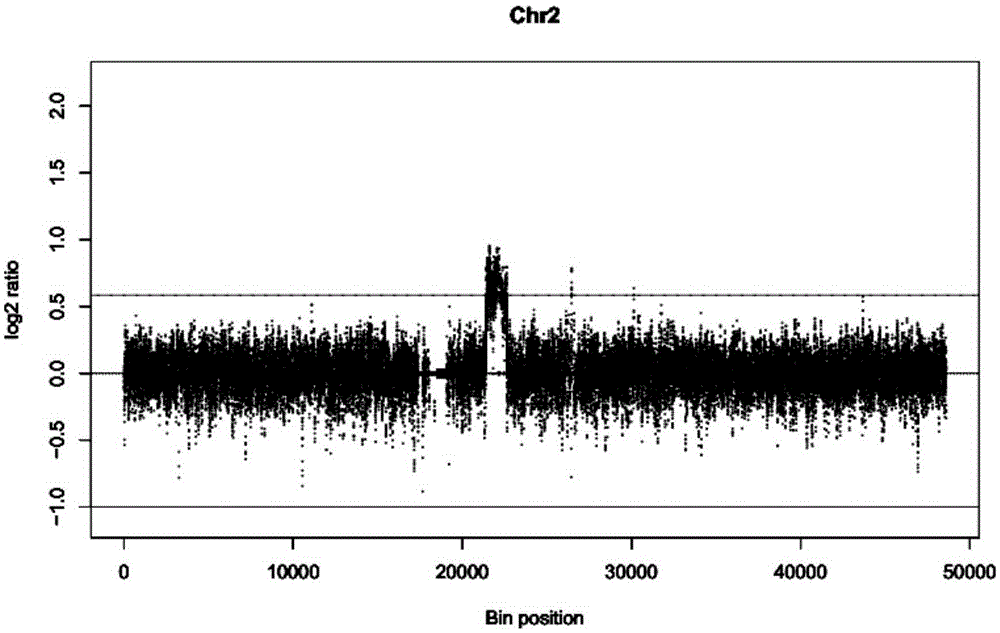 Quick comparing and positioning method for gene sequence segments on reference genome