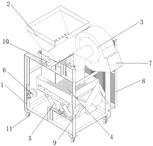 Camellia seed shelling machine