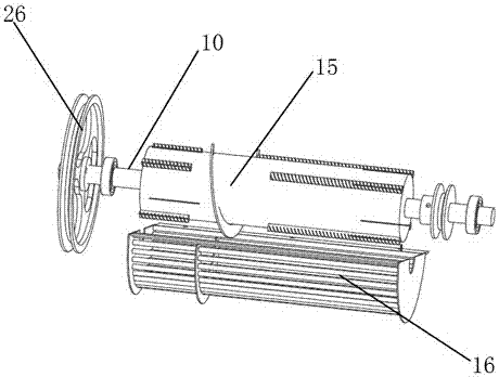 Camellia seed shelling machine