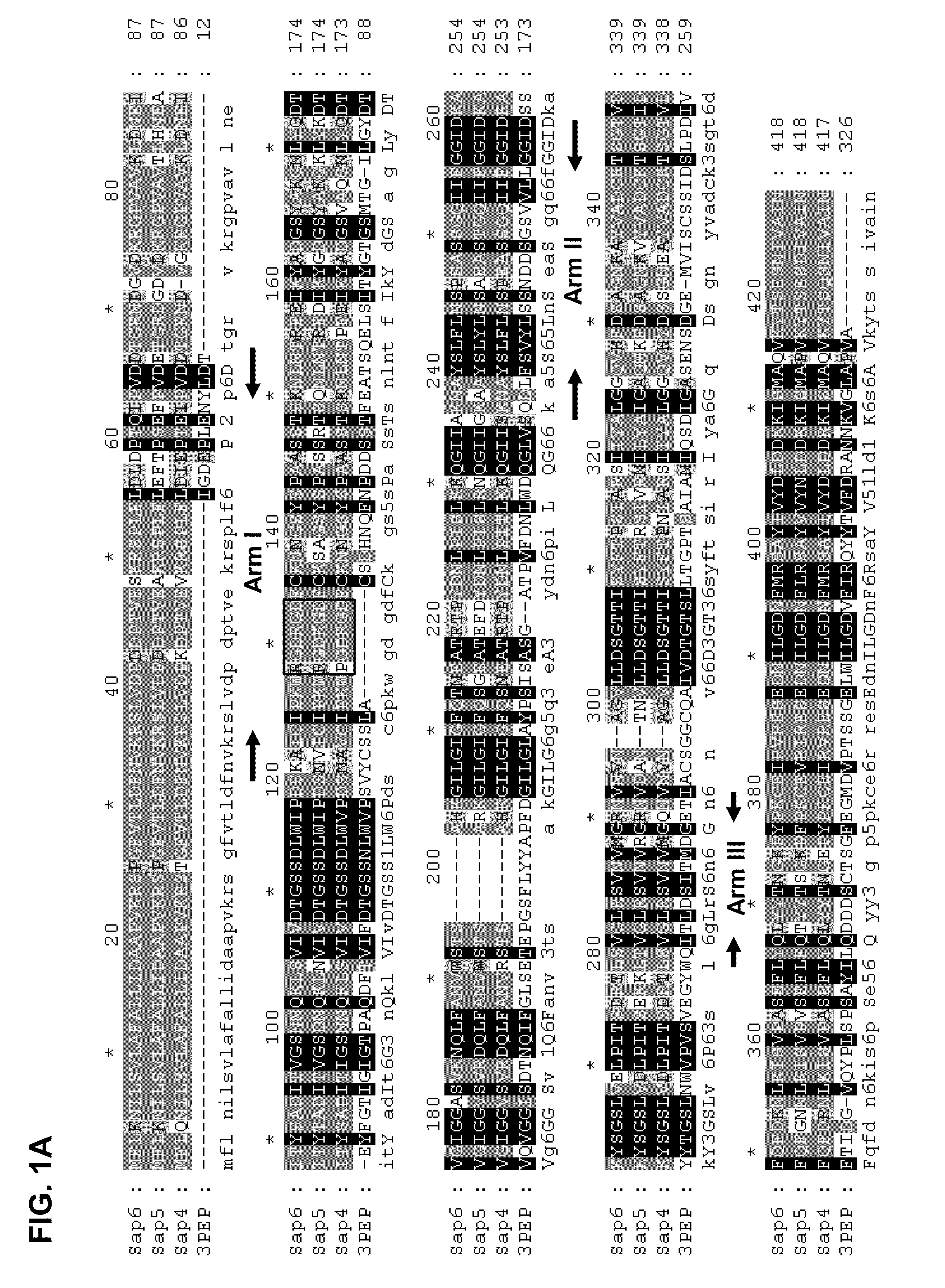 Methods and Compositions for Inhibiting Fungal Infection and Disease