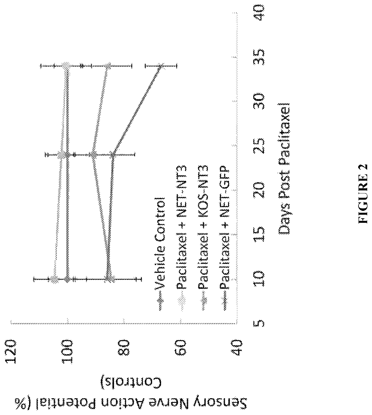 HSV vectors for delivery of NT3 and treatment of CIPN