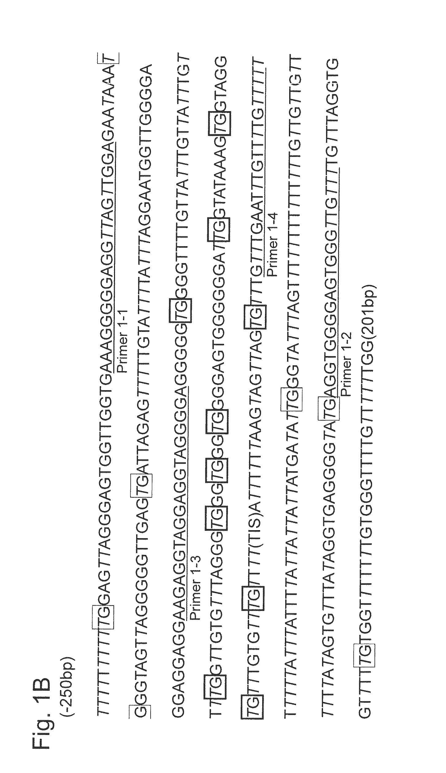 Method for diagnosing type of pancreatic tumor