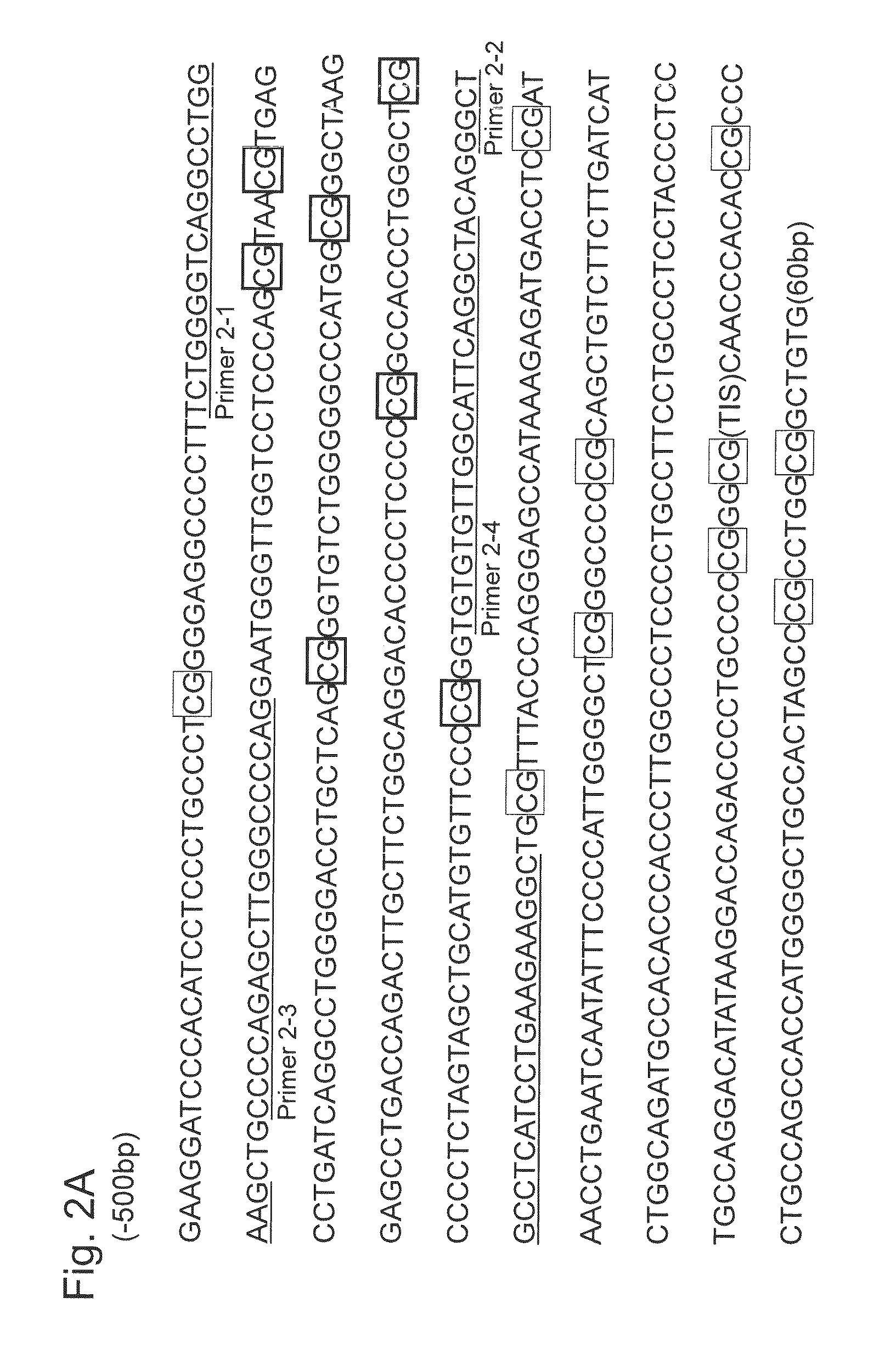 Method for diagnosing type of pancreatic tumor