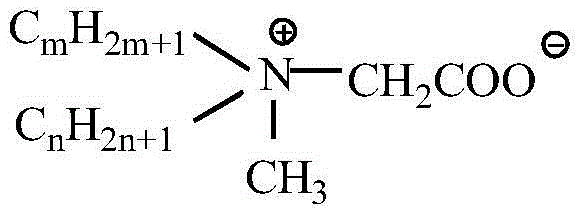 Preparation method of double-longchain alkyl methyl carboxyl glycine betaine