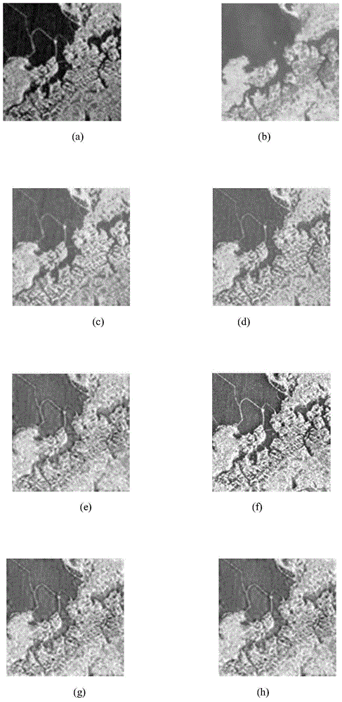 An Adaptive Fusion Method of SAR Image and Multispectral Image