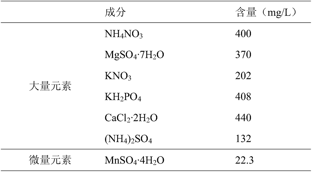 A kind of Rhododendron tissue culture rapid propagation method