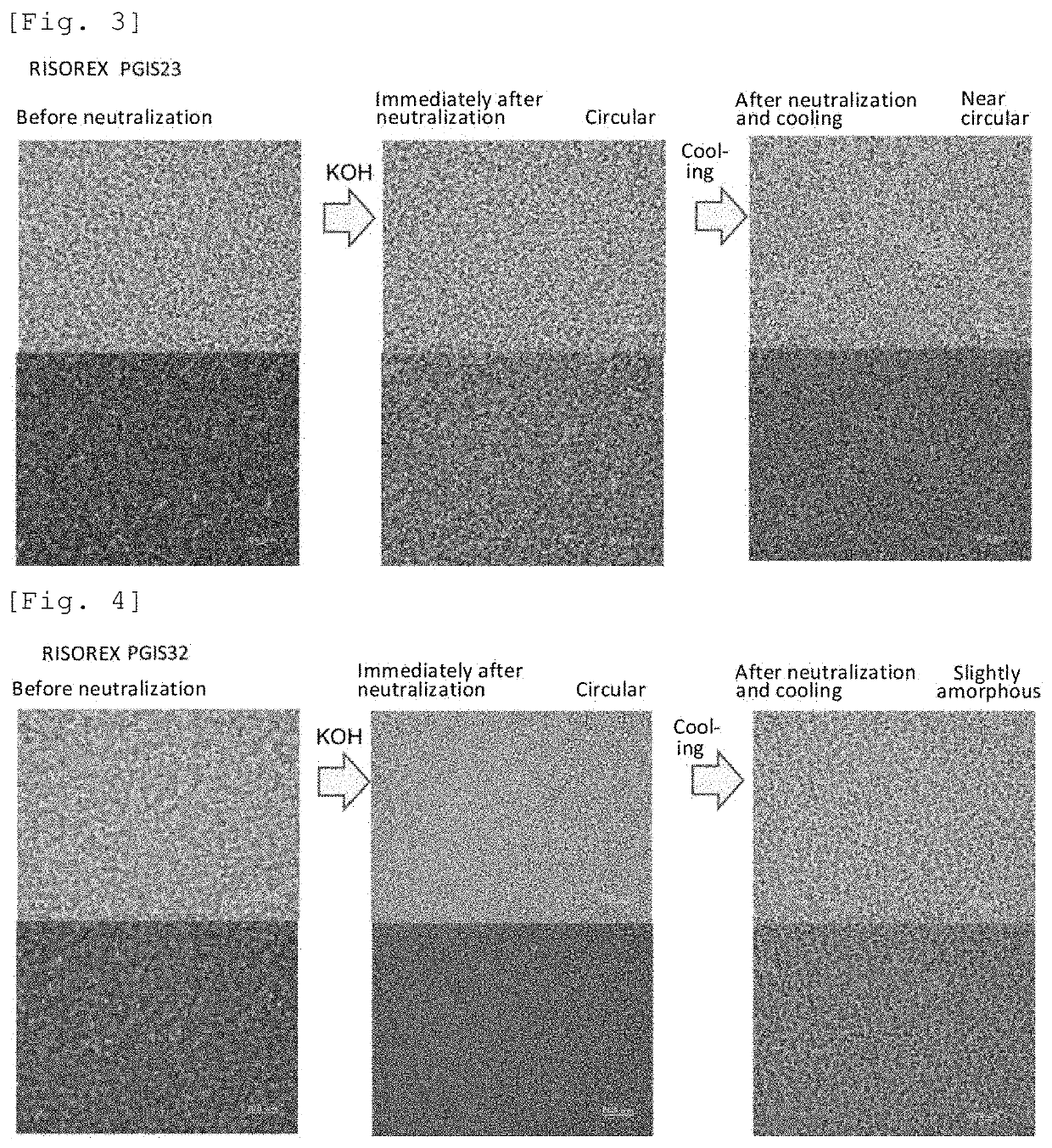 Novel complex and emulsion composition