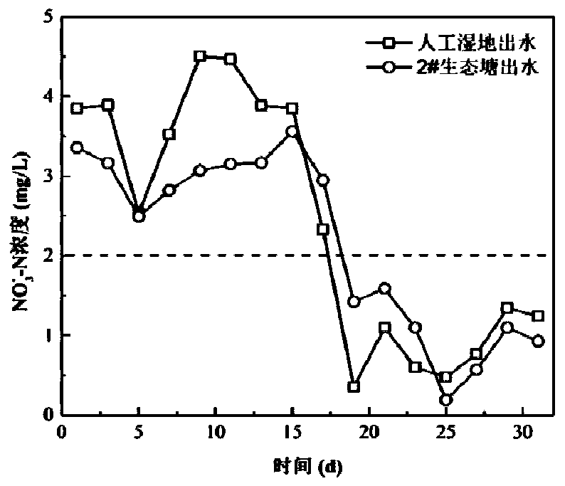 Ecological purification system for strengthening nitrate nitrogen removal in low C/N river and lake water body