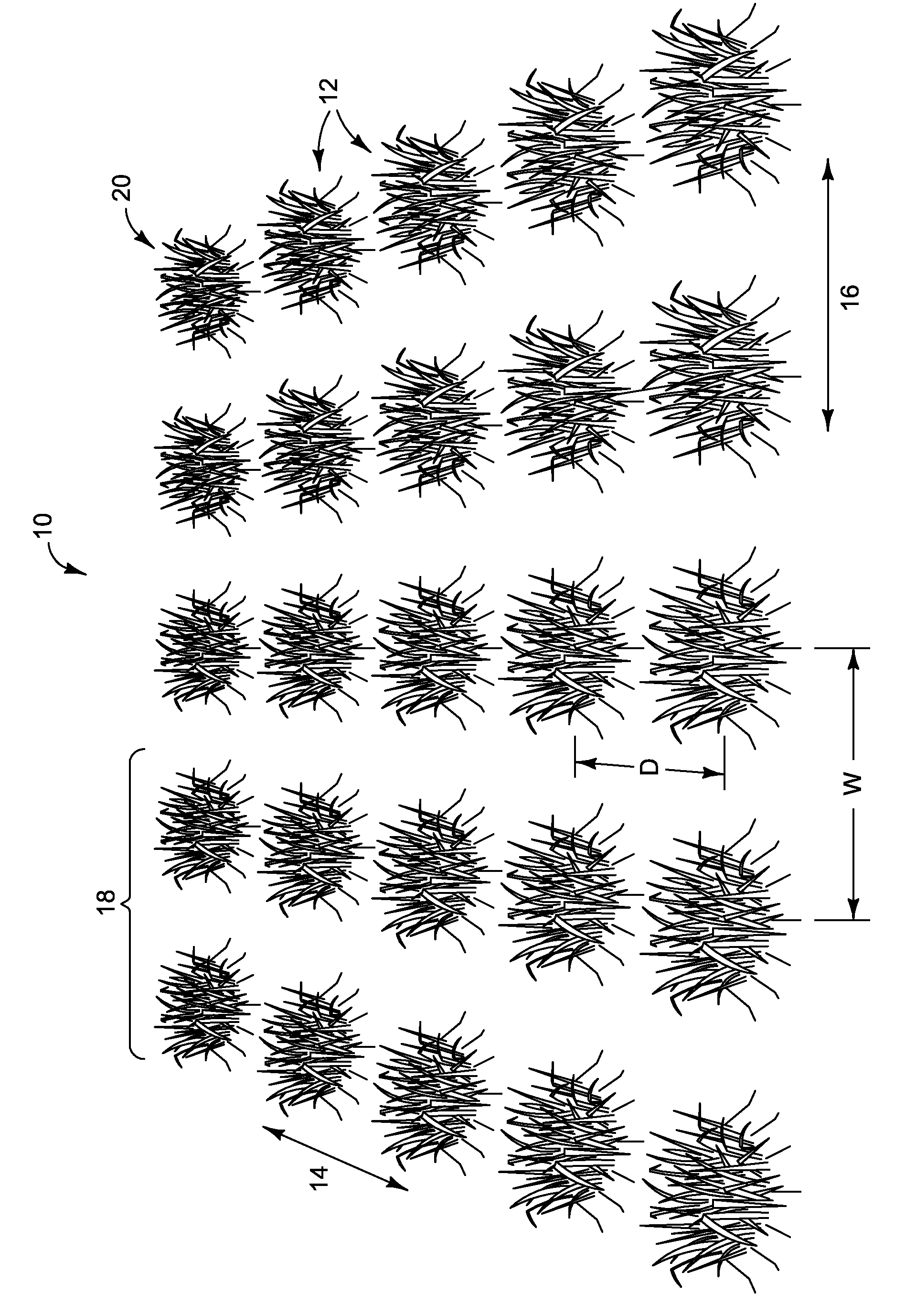 Hill Plot Farming Method for Cereal Grains