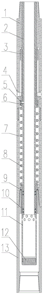 Switching type tubing pump blanking plug