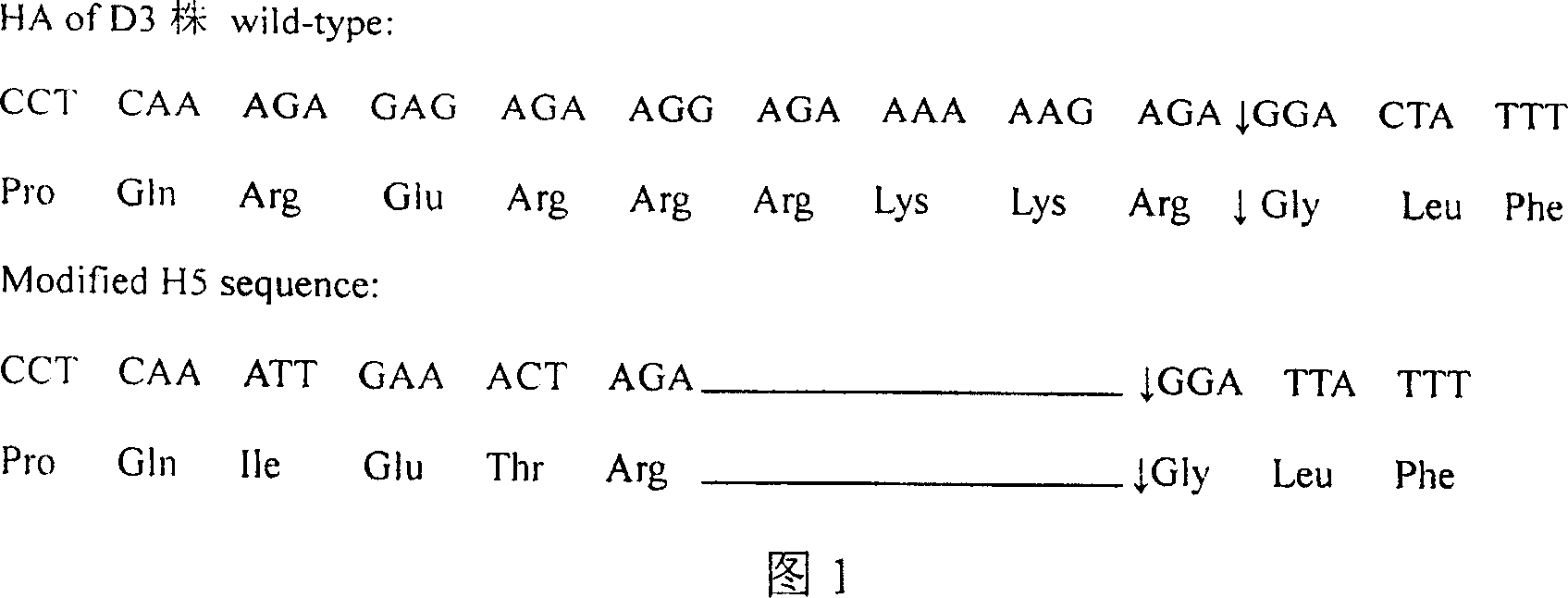 Gene recombinant fowl influenza virus D3/F-R2/6 and its construction method