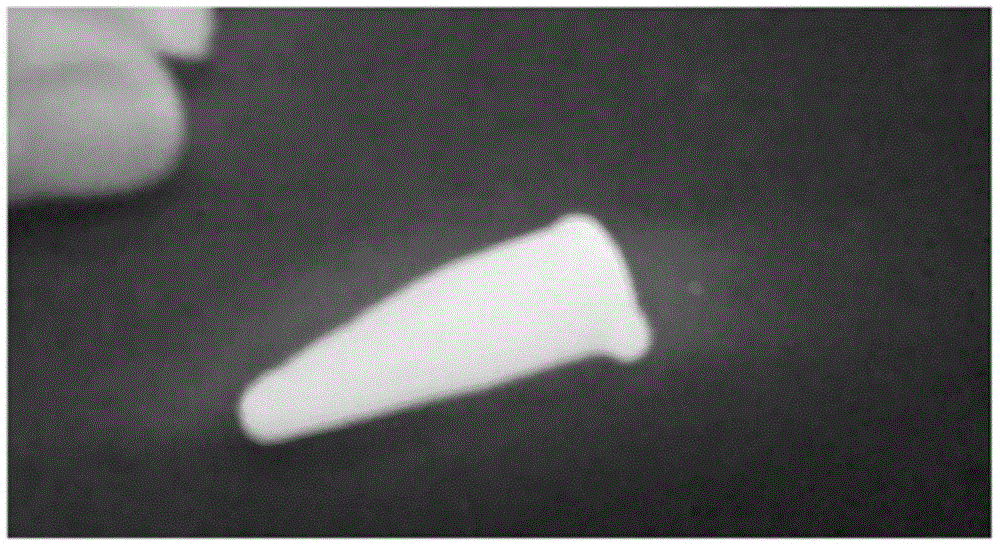 Thermal coagulation polysaccharide and fermentation bacterial strain and application thereof