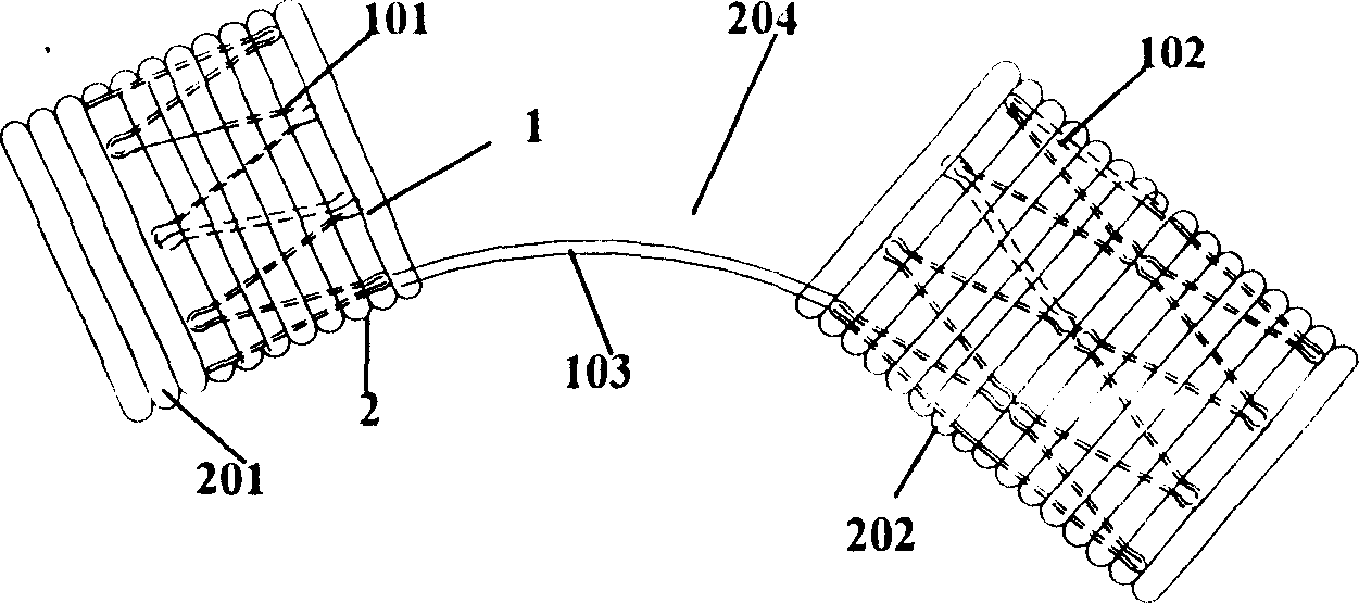 Stent prosthesis used for surgical operation, and delivery device therefor