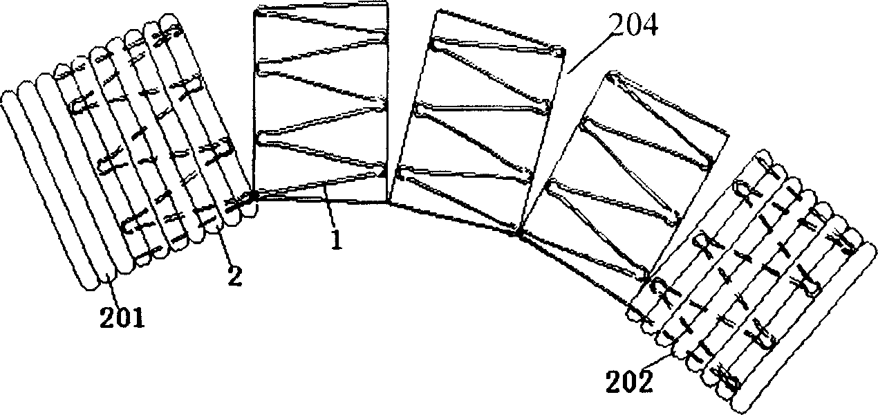 Stent prosthesis used for surgical operation, and delivery device therefor