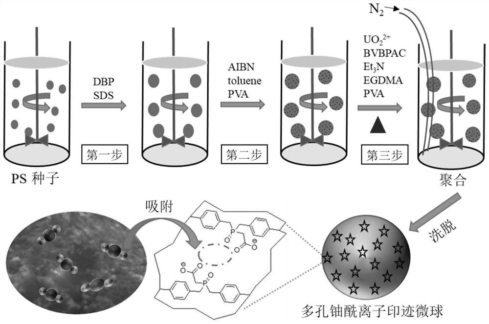 A kind of material and method for recovering trace uranium in seawater