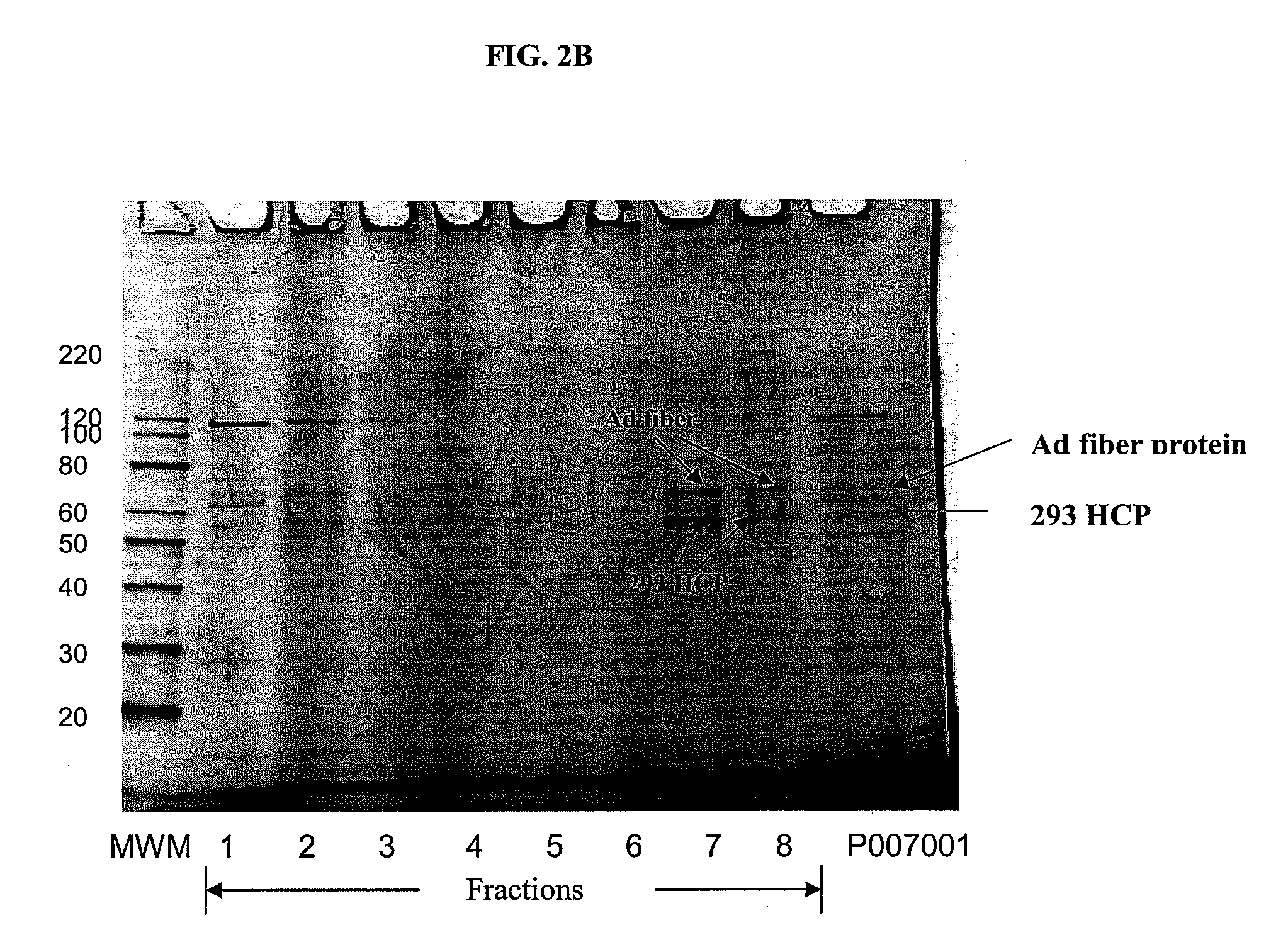 Chromatographic methods for assessing adenovirus purity