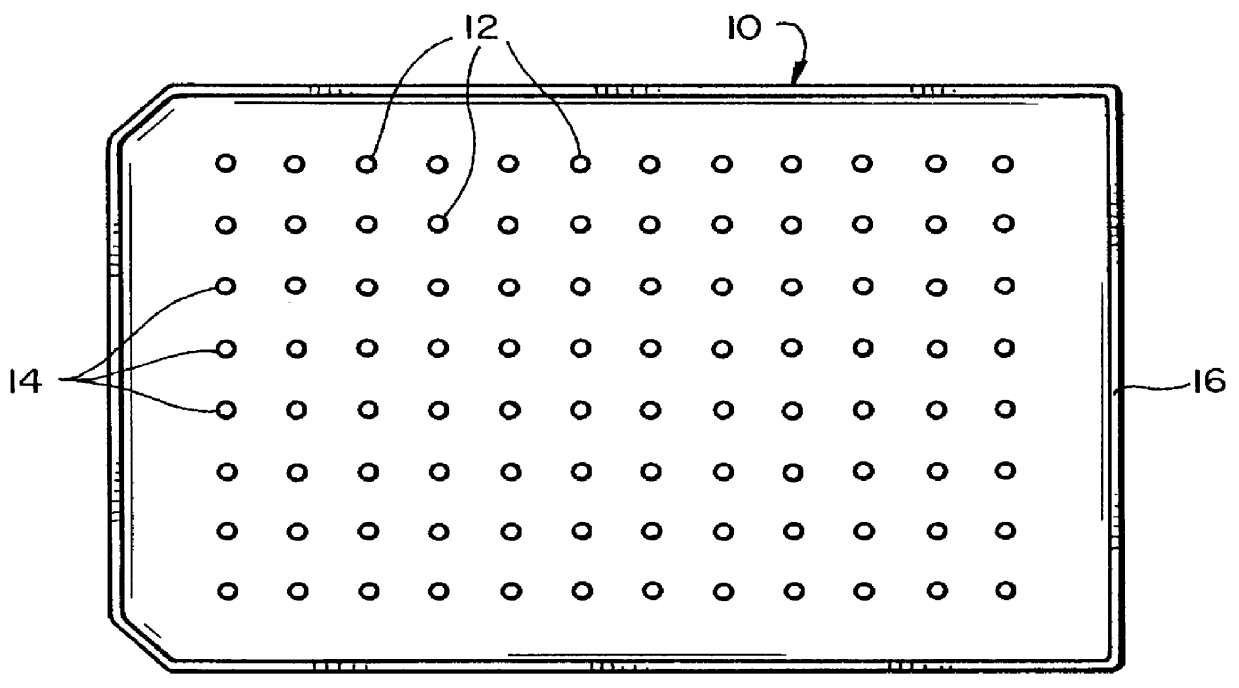 Biofilm assay