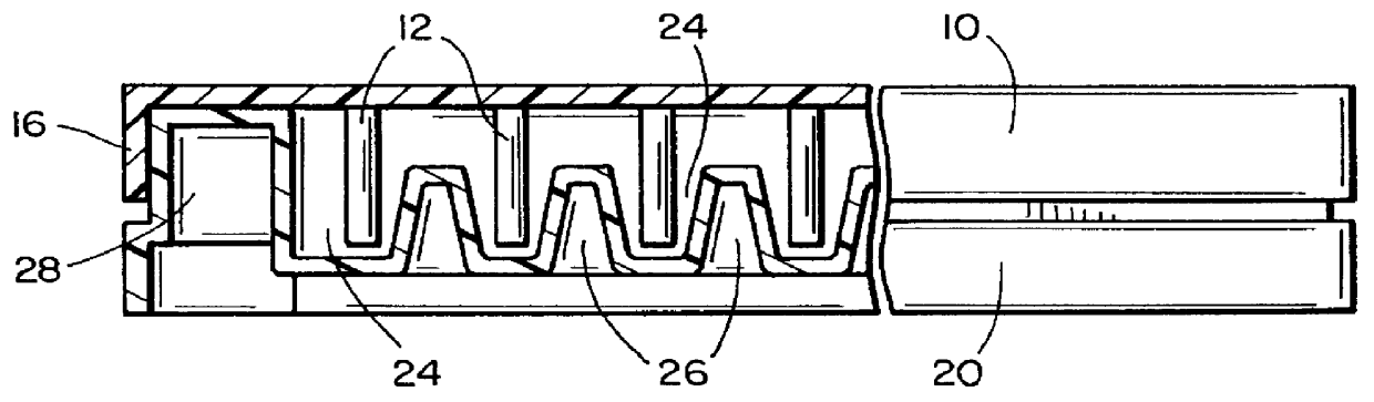 Biofilm assay