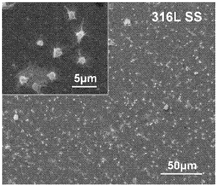 Preparation method of recyclable surface film of inferior vena cava filter based on (PEG) polyethylene glycol-like