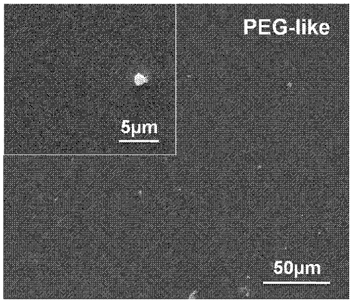 Preparation method of recyclable surface film of inferior vena cava filter based on (PEG) polyethylene glycol-like