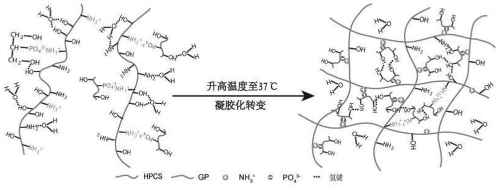 An in situ injectable thermosensitive response hydroxypropyl chitosan composite hydrogel for lacrimal embolism and its preparation method and application