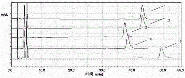 Method for detecting related substances in irbesartan hydrochlorothiazide tablets by adopting high performance liquid chromatography