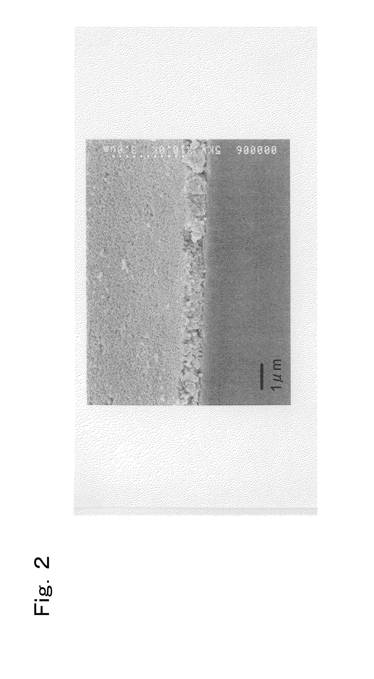 Photocatalyst composite and photocatalytic functional product using the same