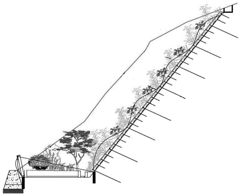 Ecological restoration construction technology for surface mine slope