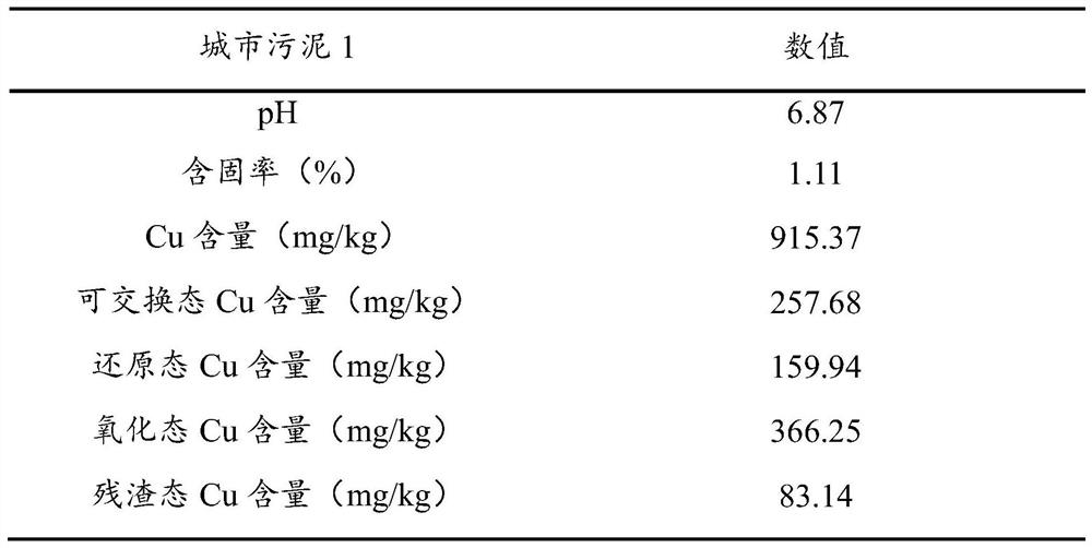 Removal Process of Heavy Metal Copper from Municipal Sludge