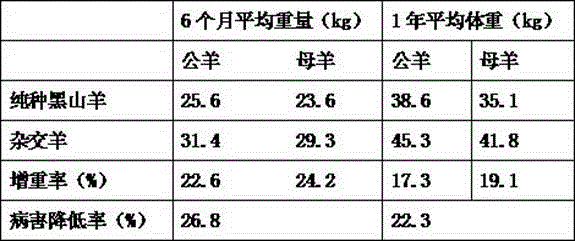 Feed additive for hybridization of Boer goats and black goats