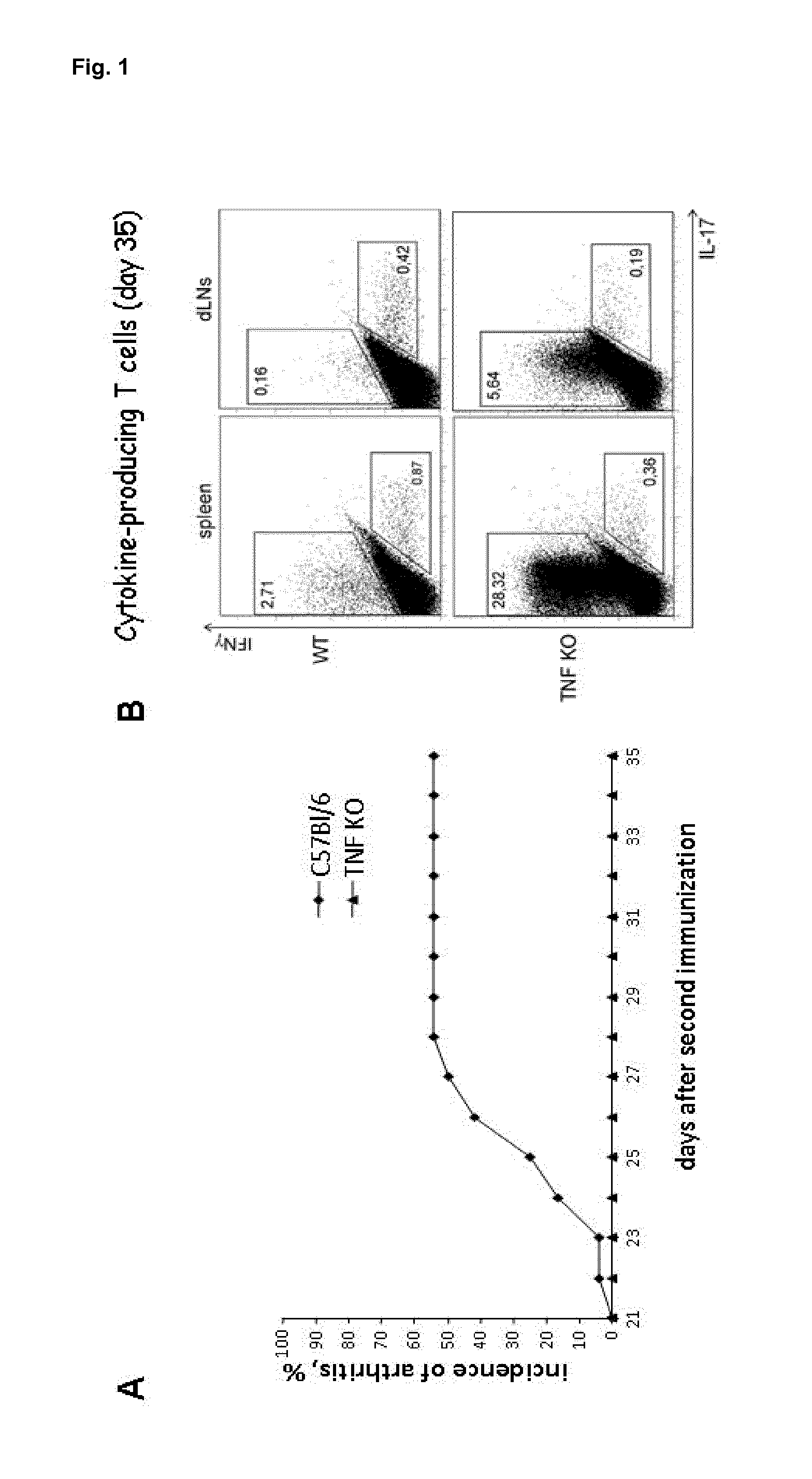 Bi-specific affinity reagents for cell-lineage-specific tnf-alpha neutralisation