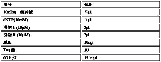 Method for connecting DNA fragments through T4 bacteriophage DNA topoisomerase