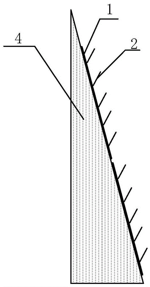 A Nursing Structure for Large Slope Stone Slopes