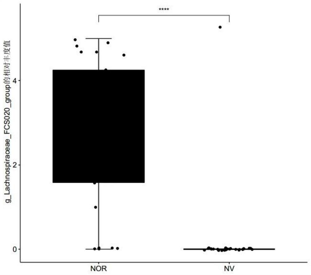 Microbial marker related to norovirus infectious diarrhea and application thereof