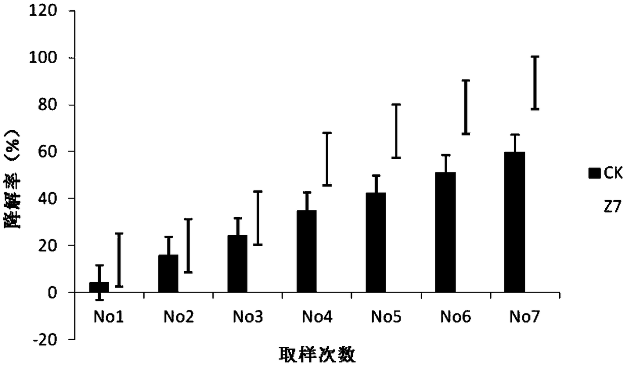 Simplicillium pekinense strain LYZ7 and application thereof