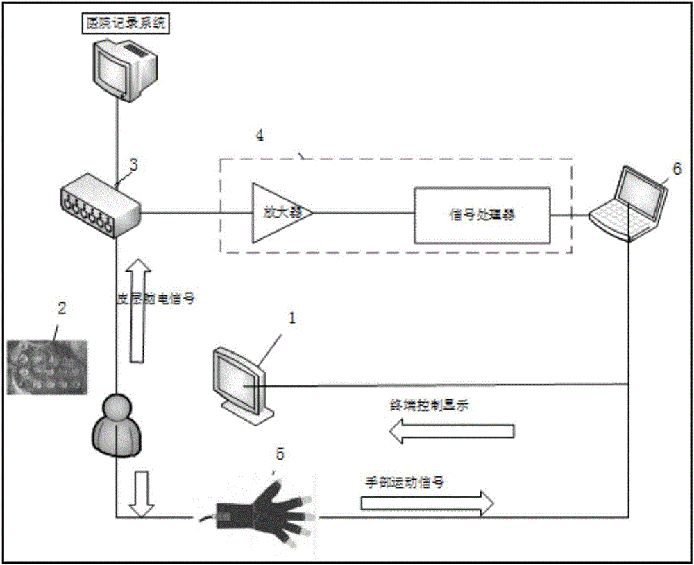 Method and system for positioning cerebral-cortex hand functional region by applying electrocorticogram signals