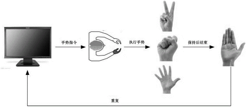 Method and system for positioning cerebral-cortex hand functional region by applying electrocorticogram signals