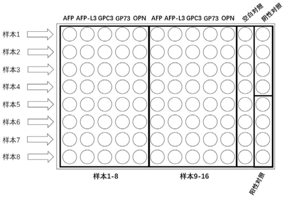 Biochip for combined detection of multiple tumor markers and preparation and application thereof