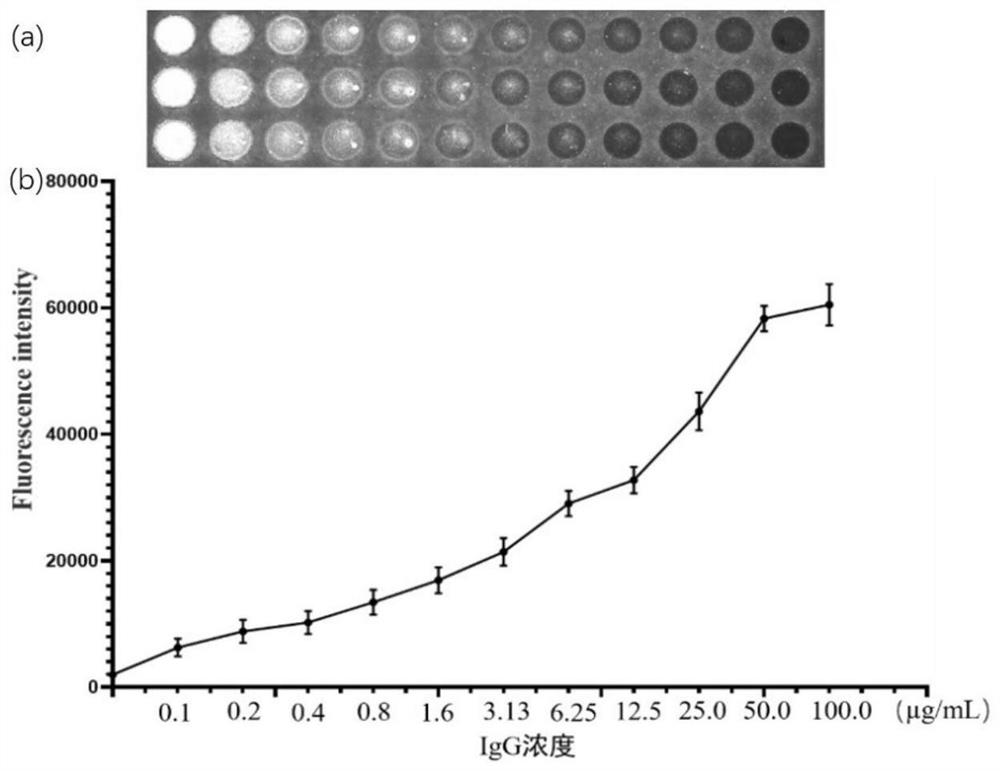 Biochip for combined detection of multiple tumor markers and preparation and application thereof