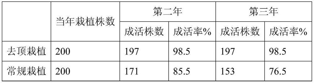 A method for improving the survival rate of saline-alkali saline locust tree