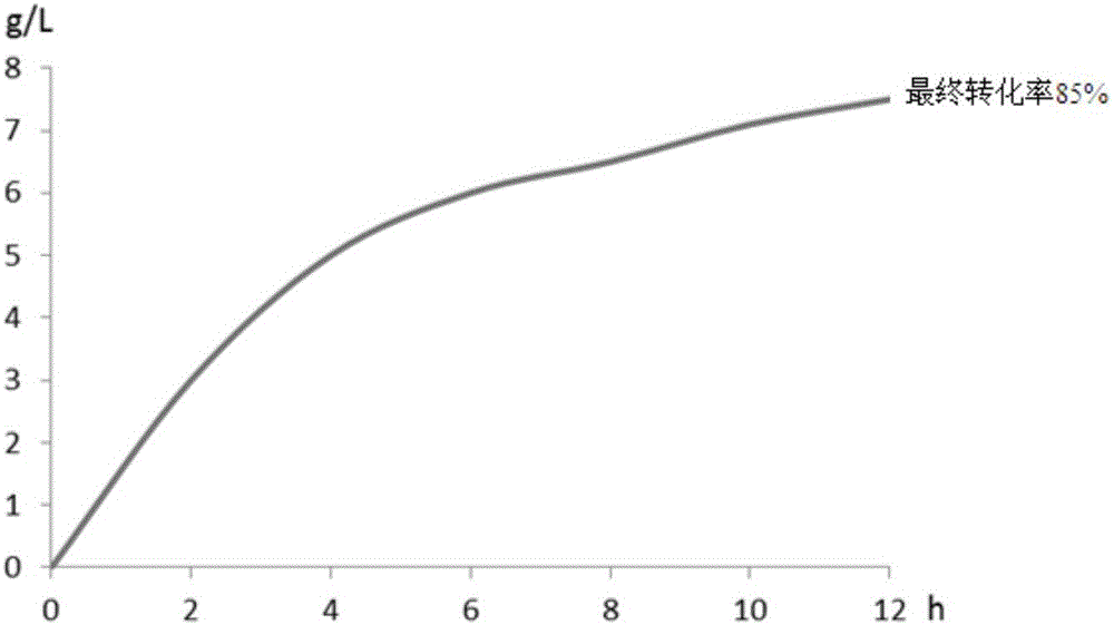 L-ribose isomerase and application thereof for biologically preparing L-ribose