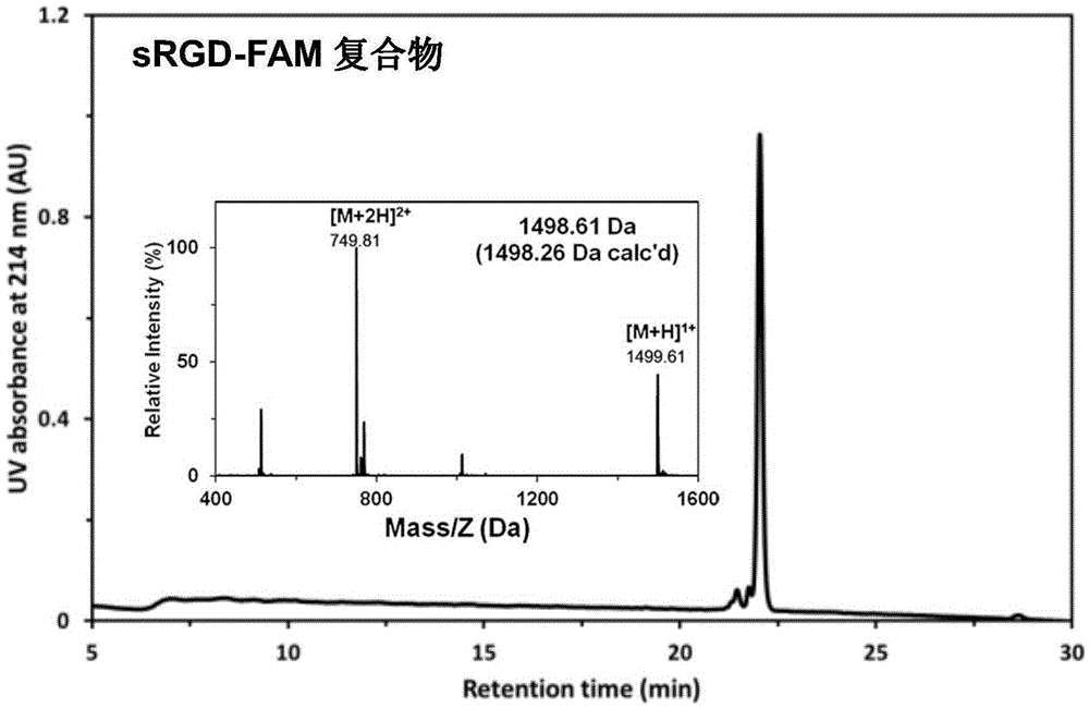 Stapled-RGD polypeptide, and applications thereof in tumor targeting delivery