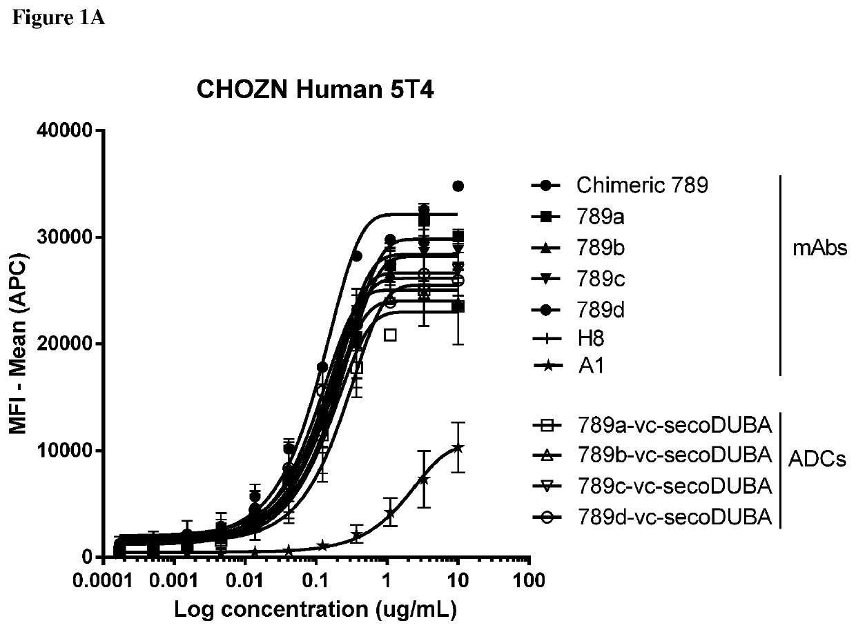 Anti-5T4 antibodies and antibody-drug conjugates