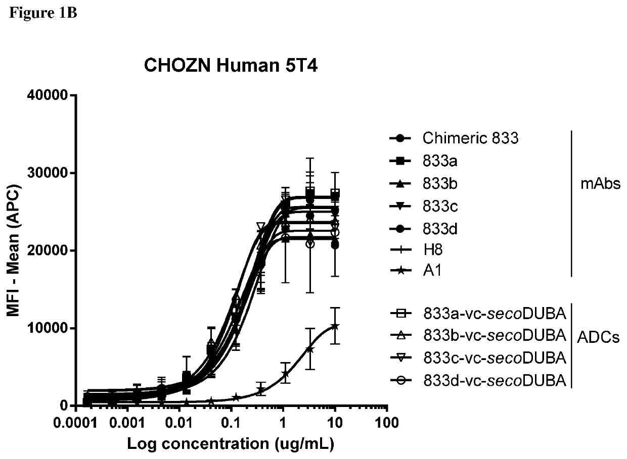 Anti-5T4 antibodies and antibody-drug conjugates